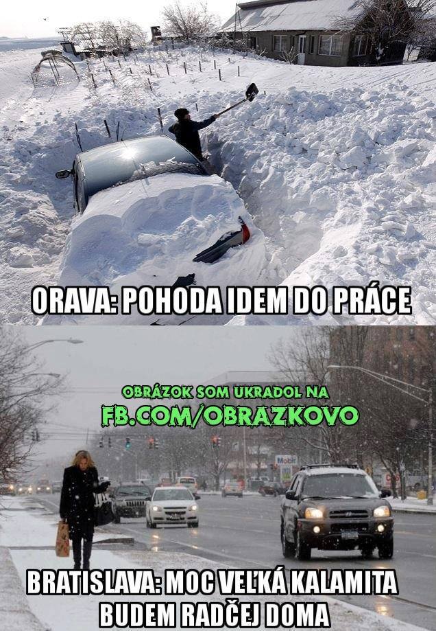 Top obrázok 1017