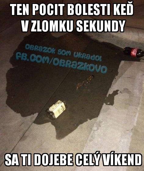 Top obrázok 1142