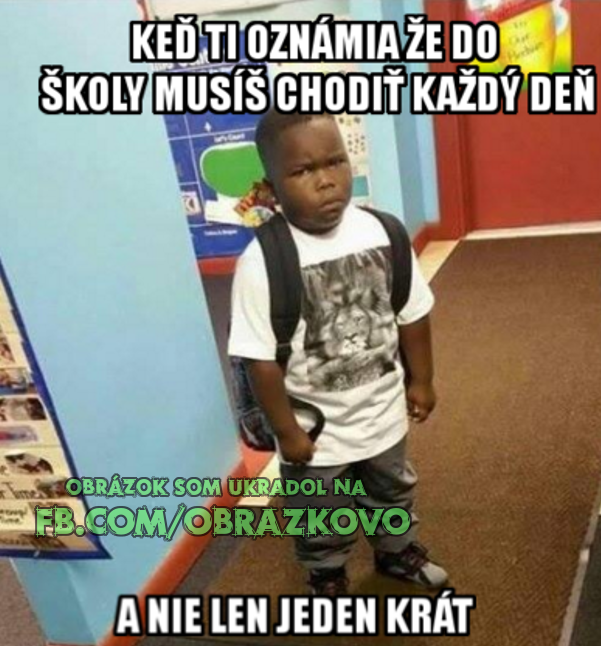 Top obrázok 1353