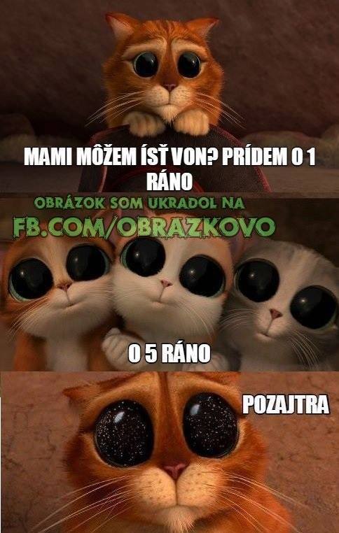 Top obrázok 138