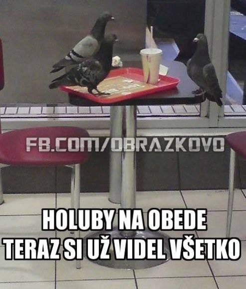 Top obrázok 158