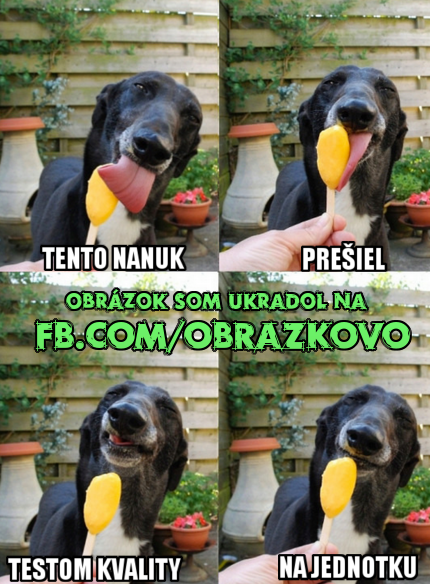 Top obrázok 1675