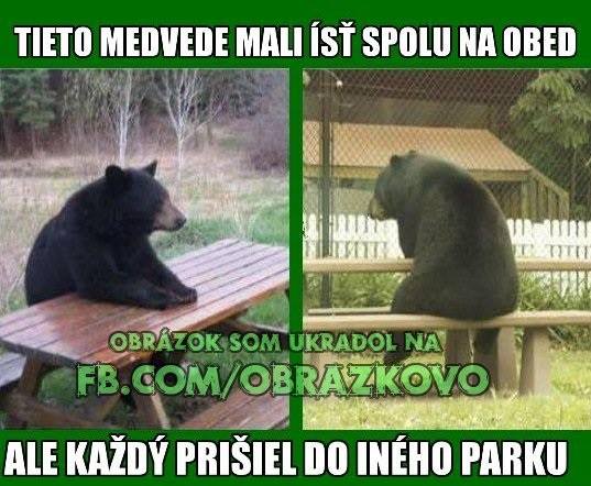 Top obrázok 2042