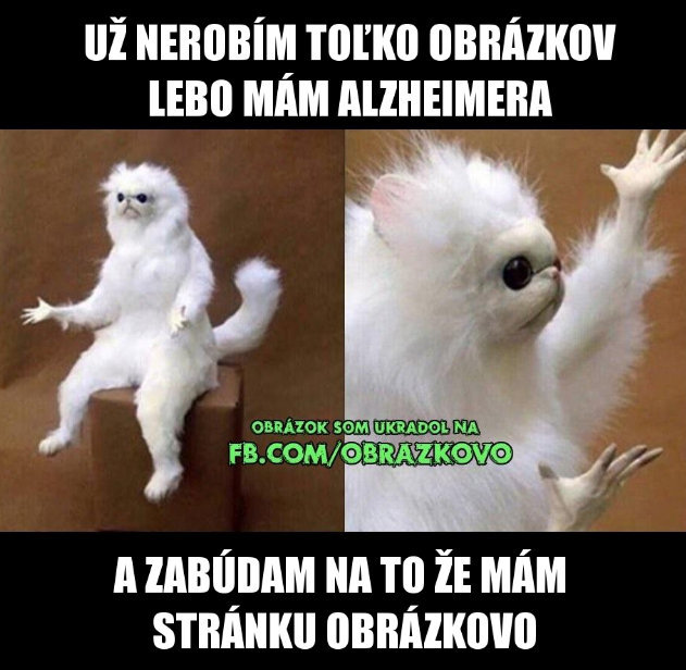 Top obrázok 221