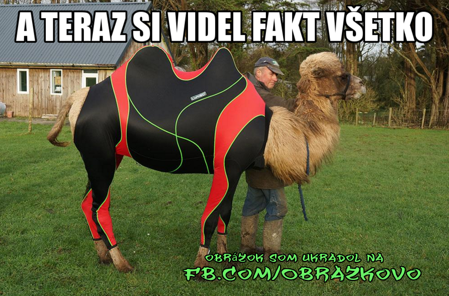 Top obrázok 2223