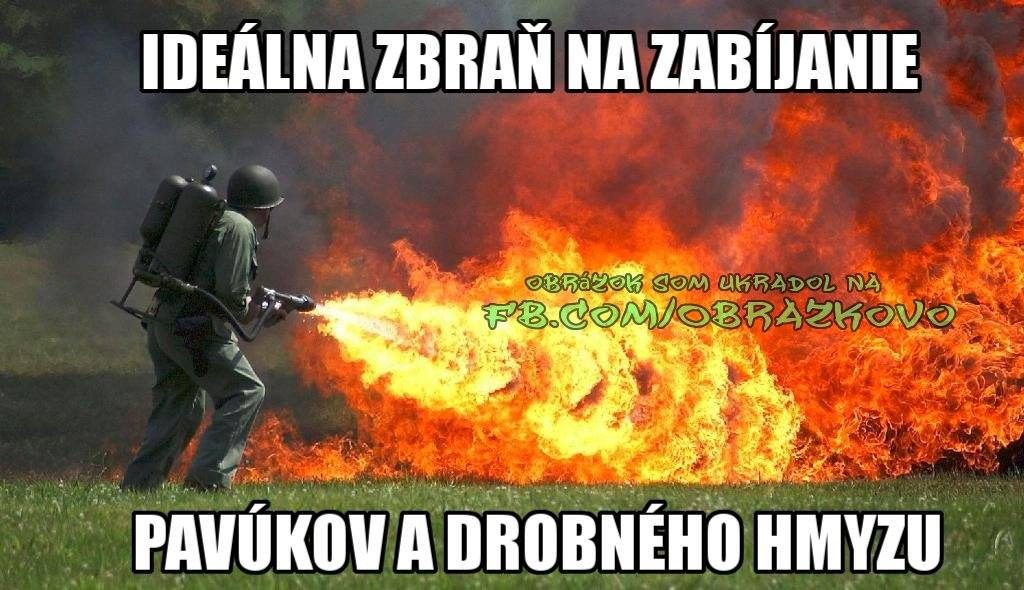 Top obrázok 2371