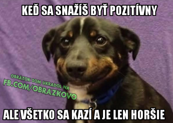 Top obrázok 2402