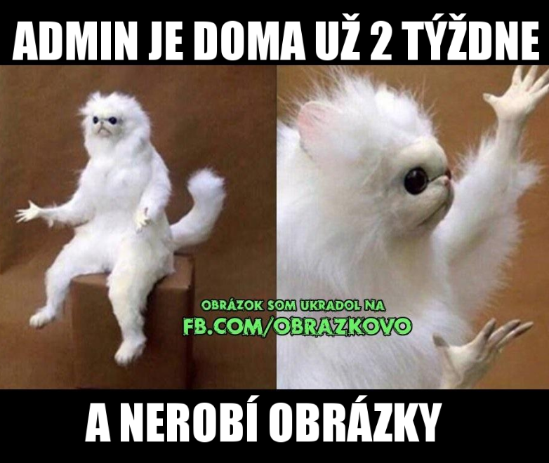 Top obrázok 243