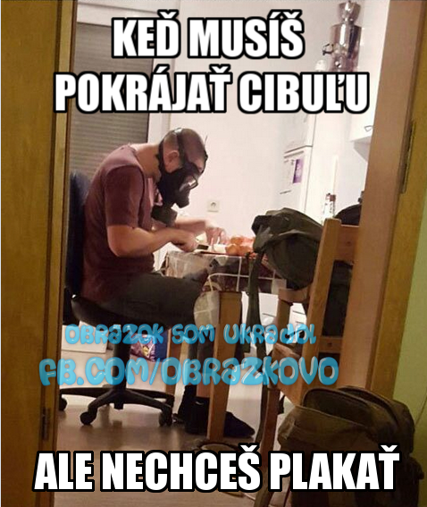 Top obrázok 2445