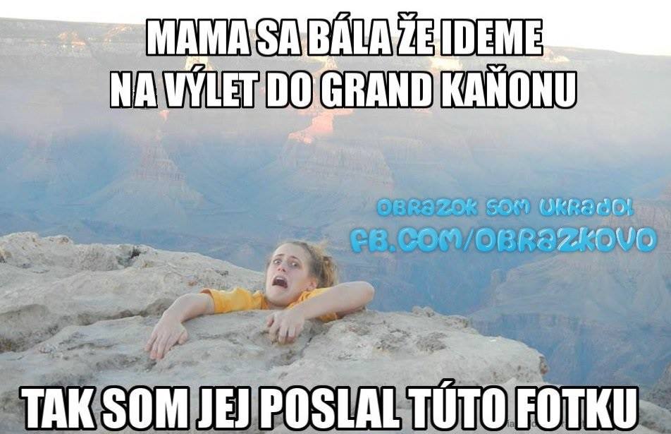 Top obrázok 2466