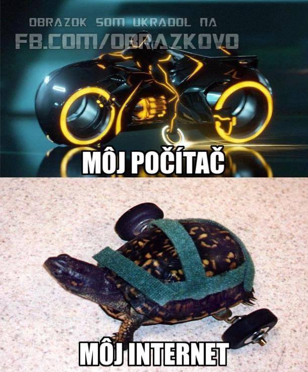 Top obrázok 2473