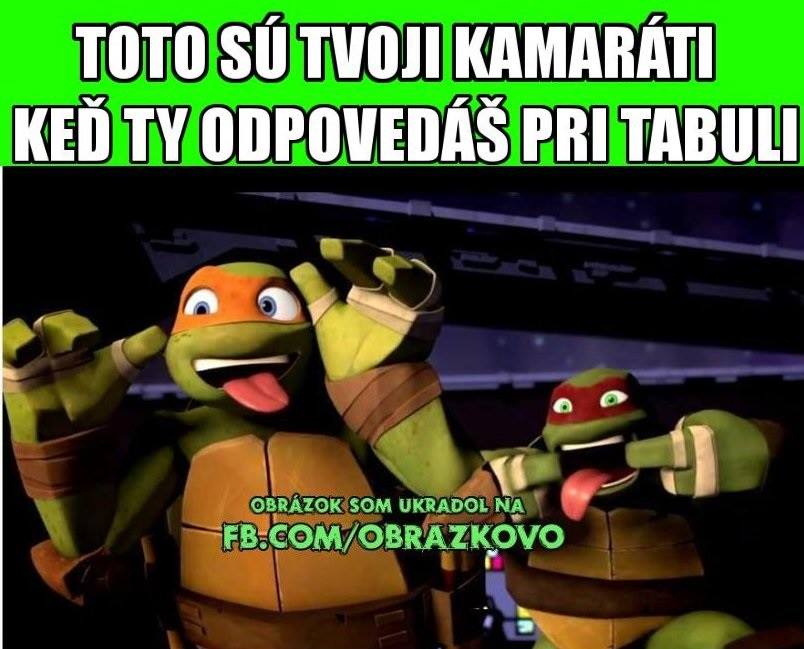 Top obrázok 2525