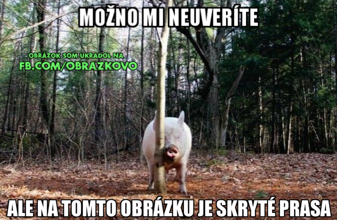 Top obrázok 2552