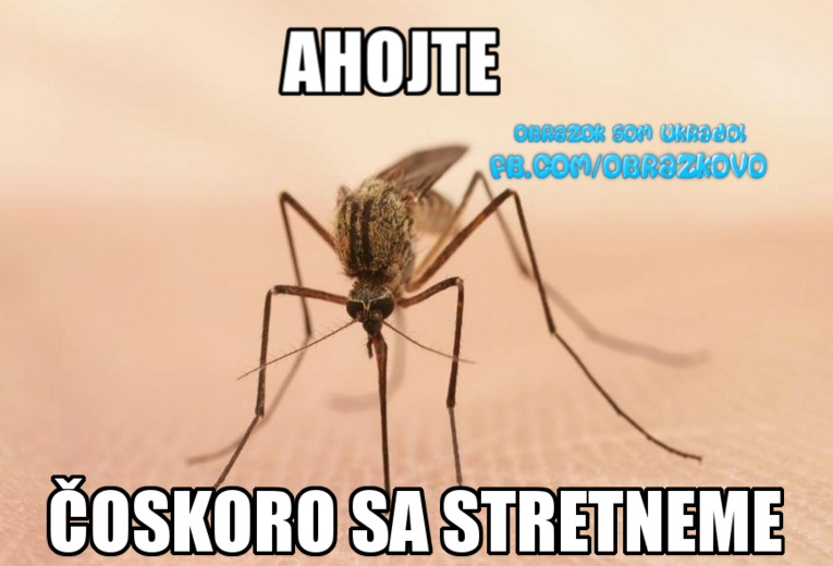 Top obrázok 2577