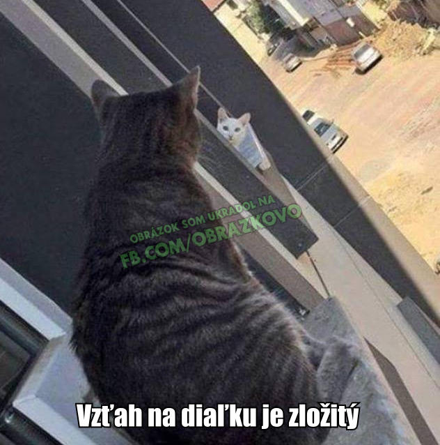 Top obrázok 26