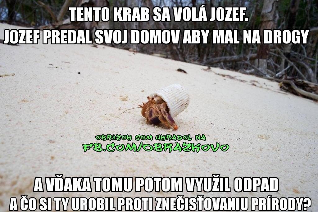 Top obrázok 2719