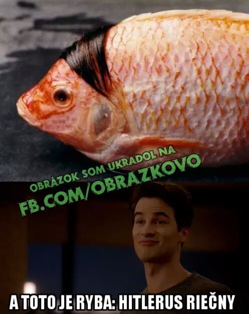 Top obrázok 360