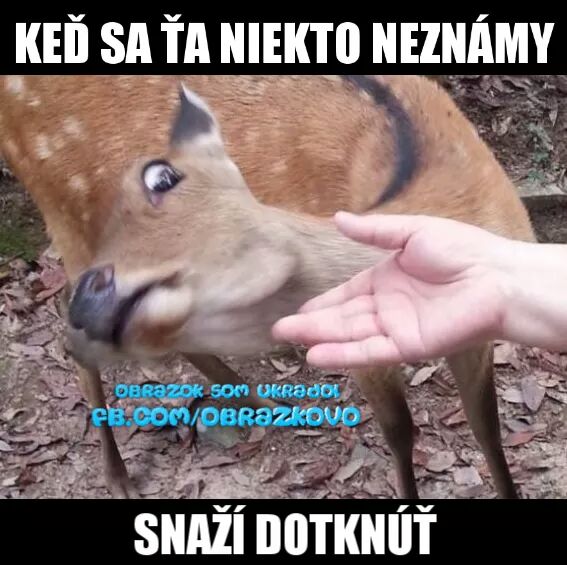 Top obrázok 374