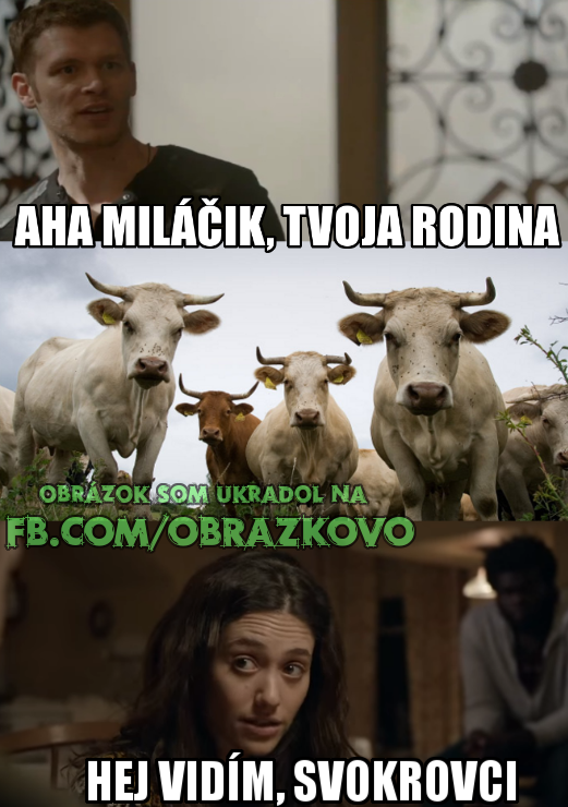 Top obrázok 708