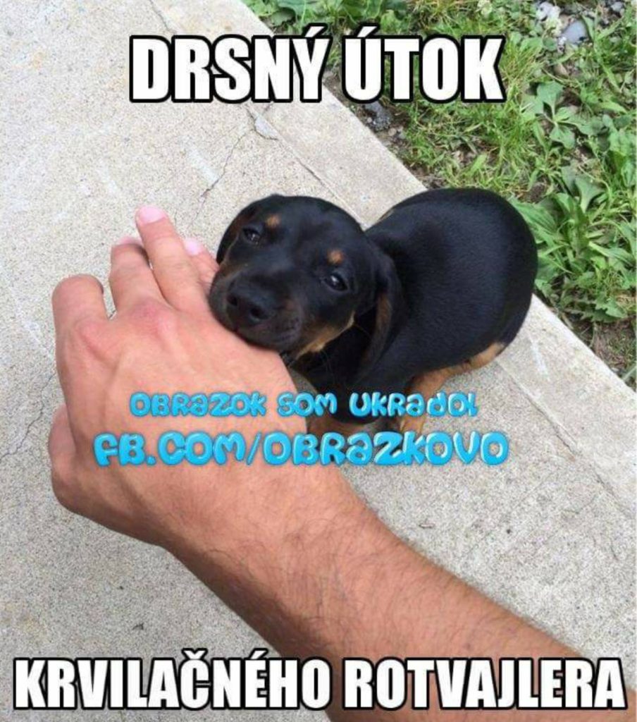 Top obrázok 821