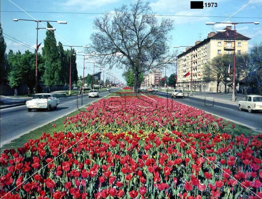 Bratislava očami Bratislavčana 807